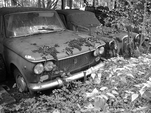 Autofriedhof - 201.JPG - Historischer Autofriedhof,    Gürbetal (CH)